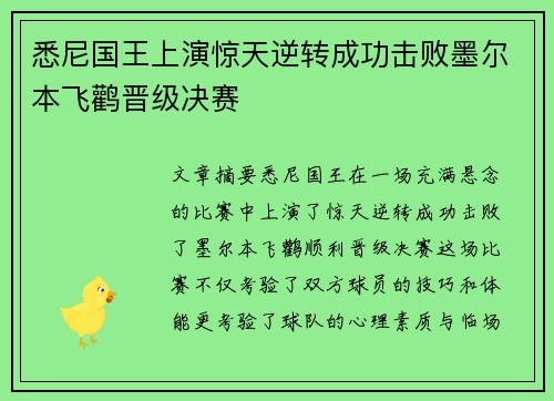 悉尼国王上演惊天逆转成功击败墨尔本飞鹳晋级决赛